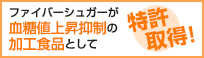 ファイバーシュガーが「血糖値上昇抑制の加工食品」として特許取得！